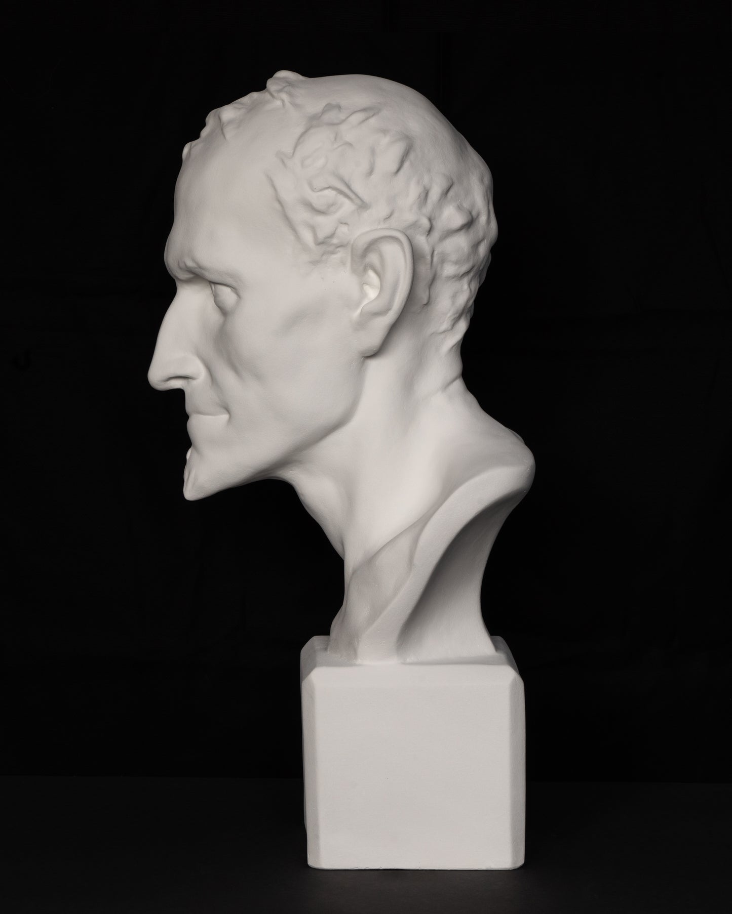 Bust Mefistofel
