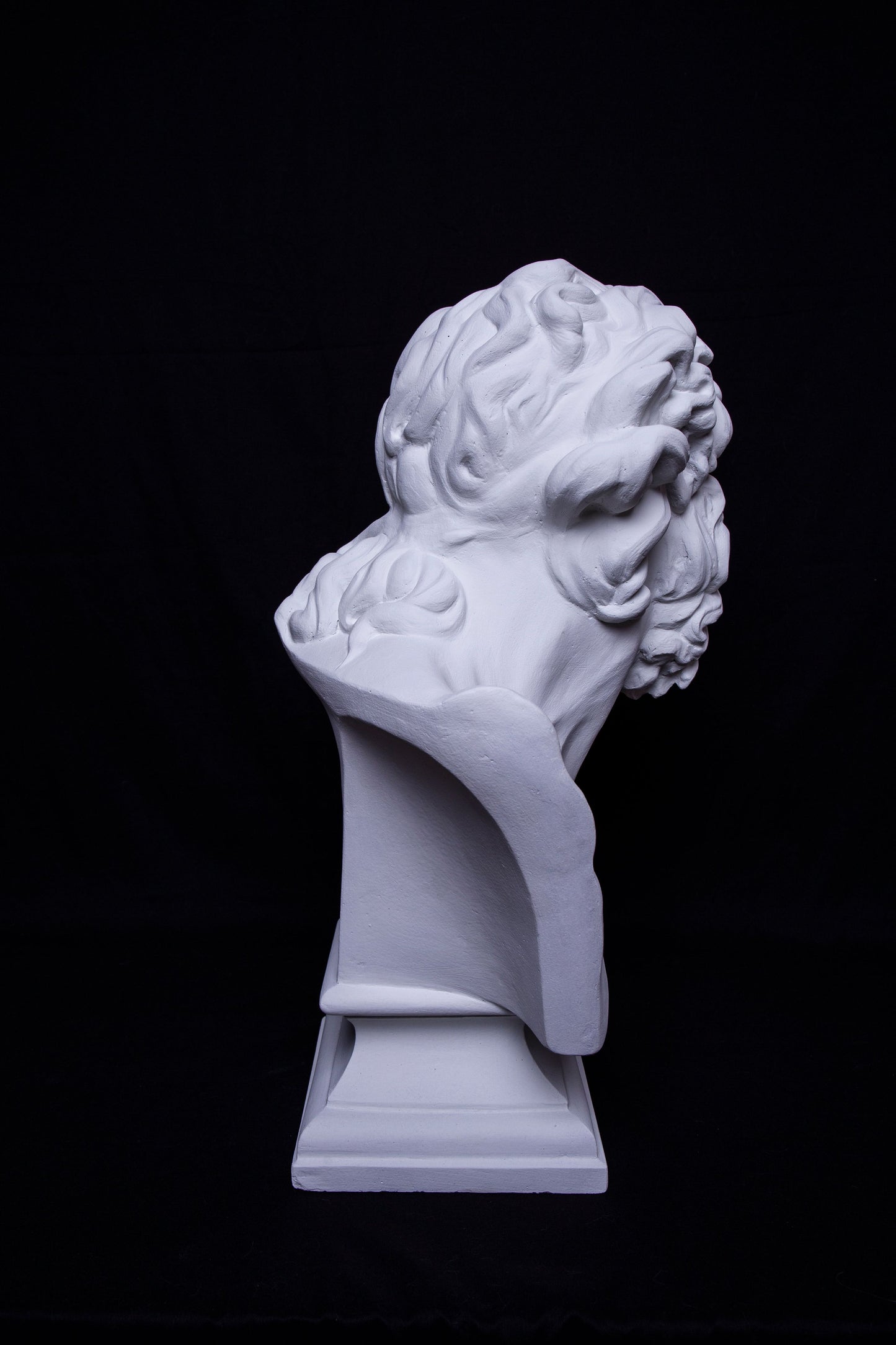 Bust Laocoon