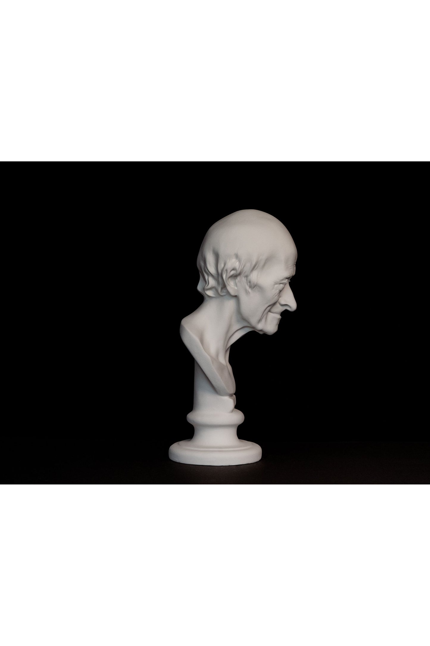 Bust Voltaire