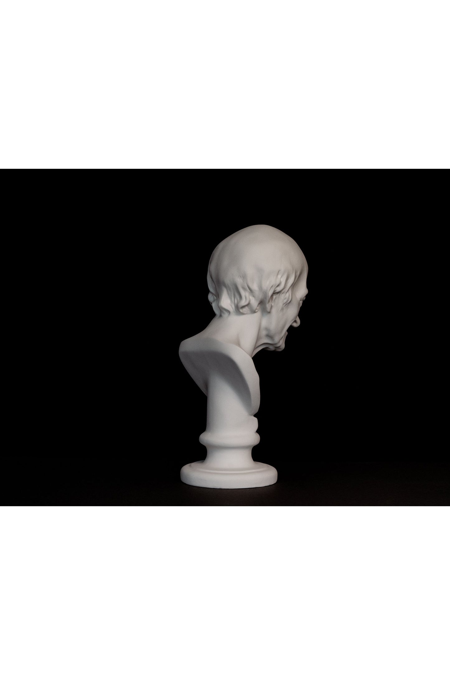 Bust Voltaire
