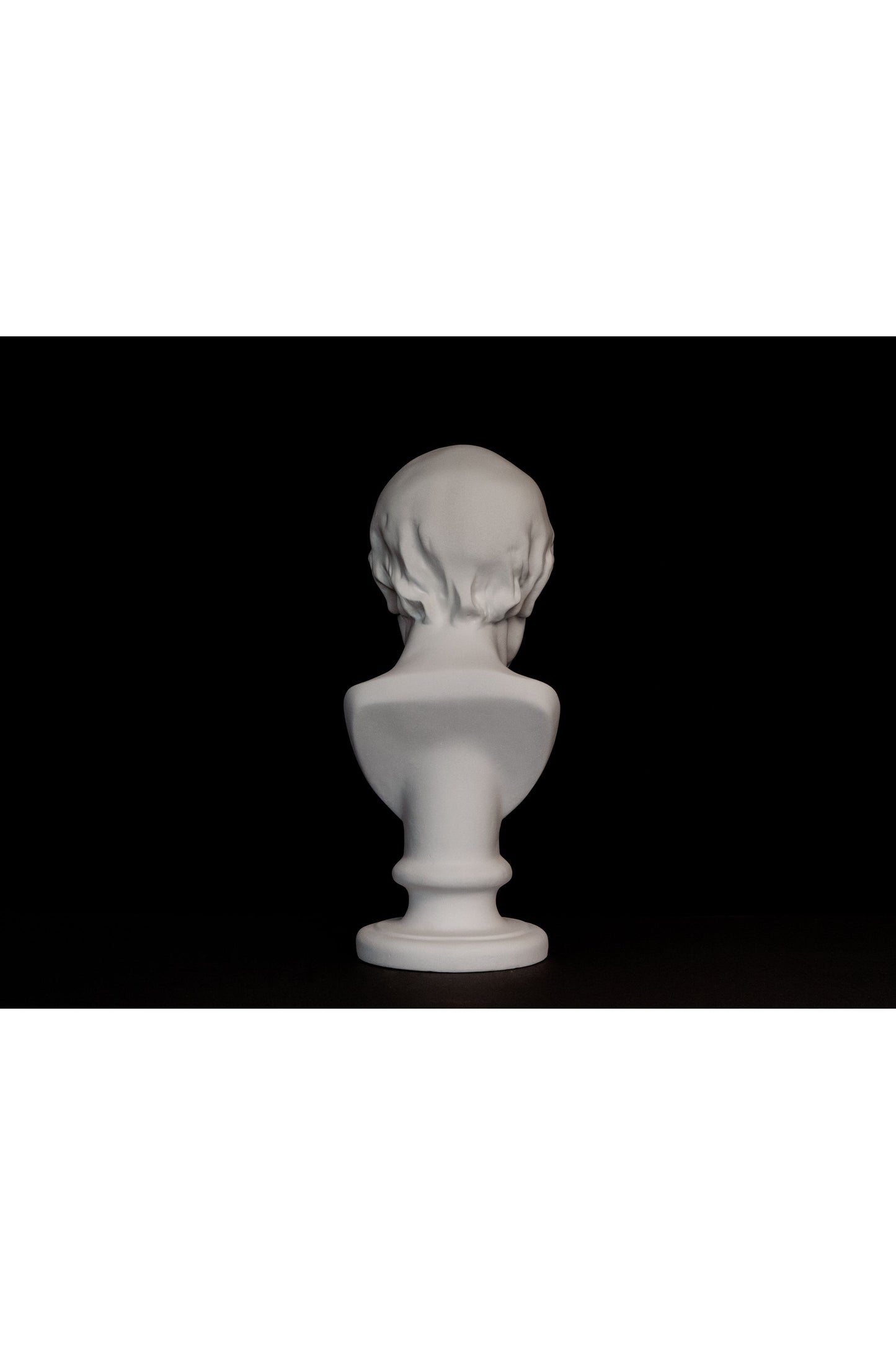 Bust Voltaire