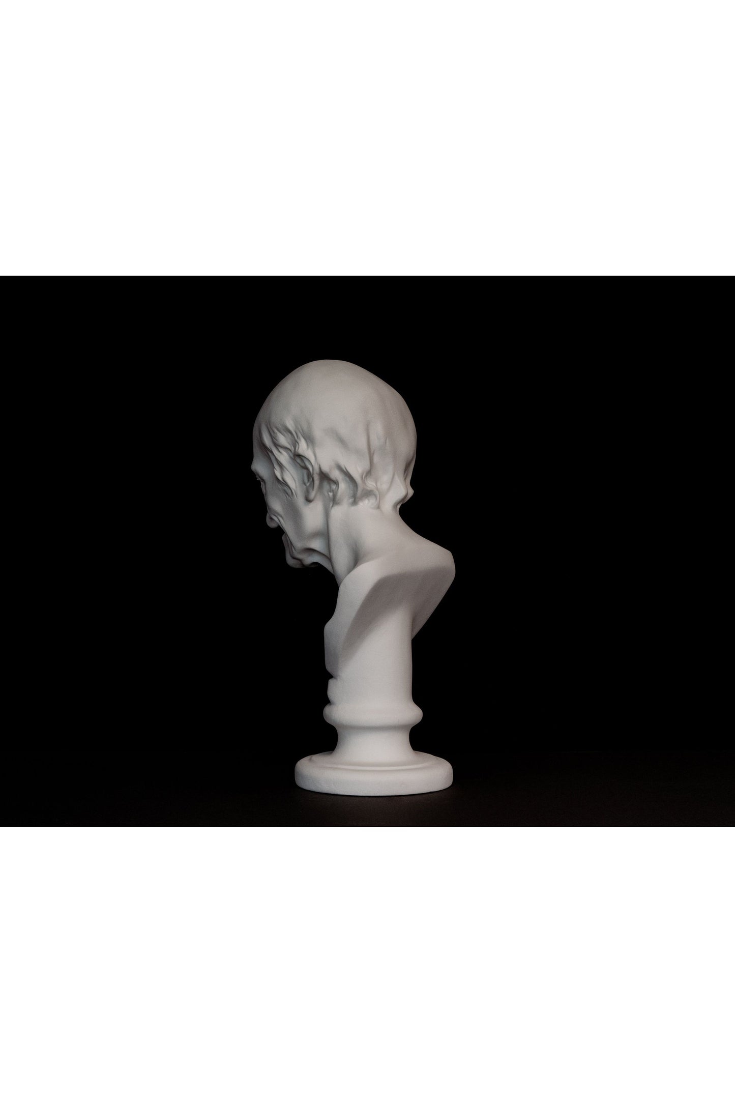Bust Voltaire