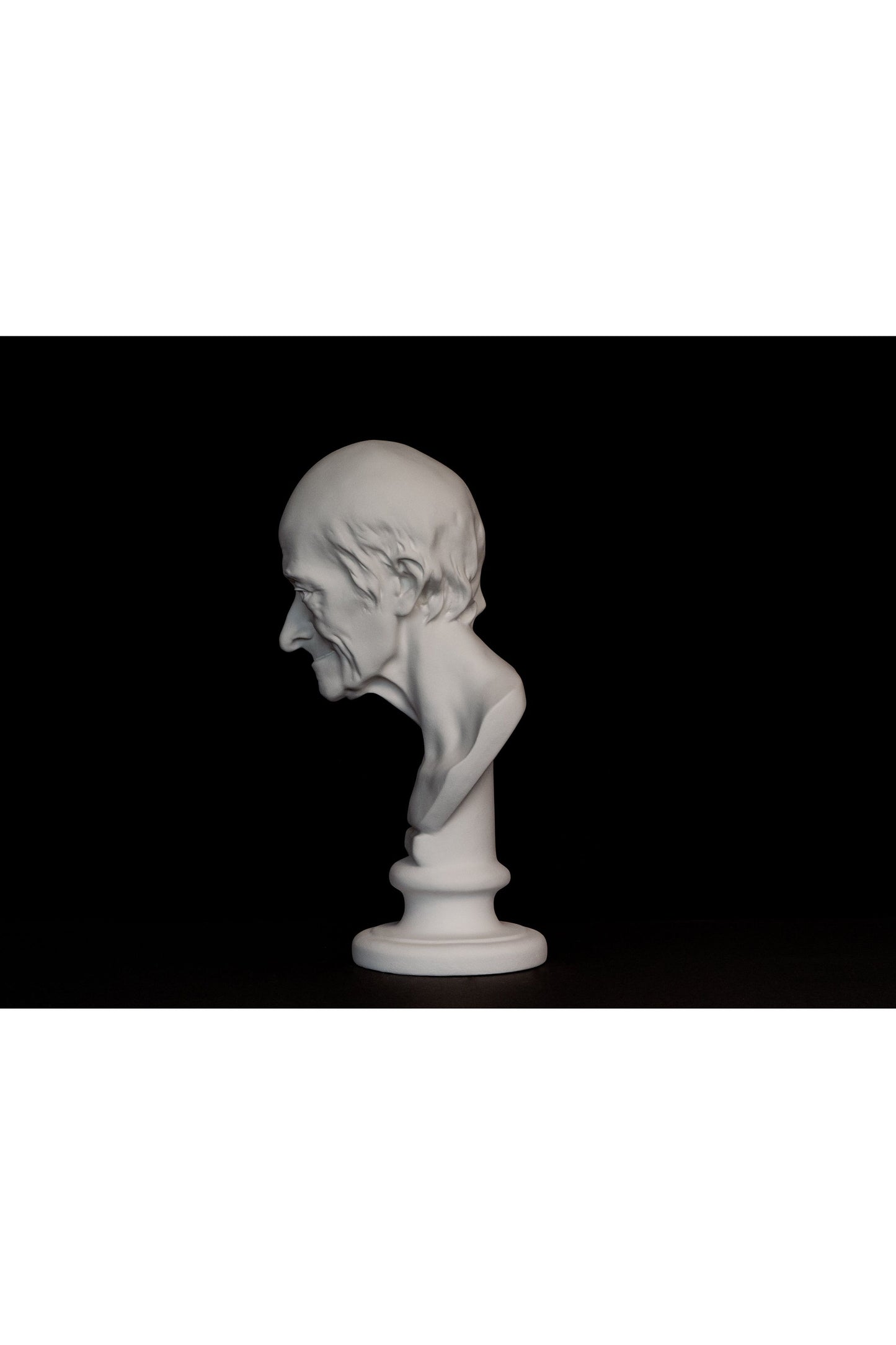 Bust Voltaire