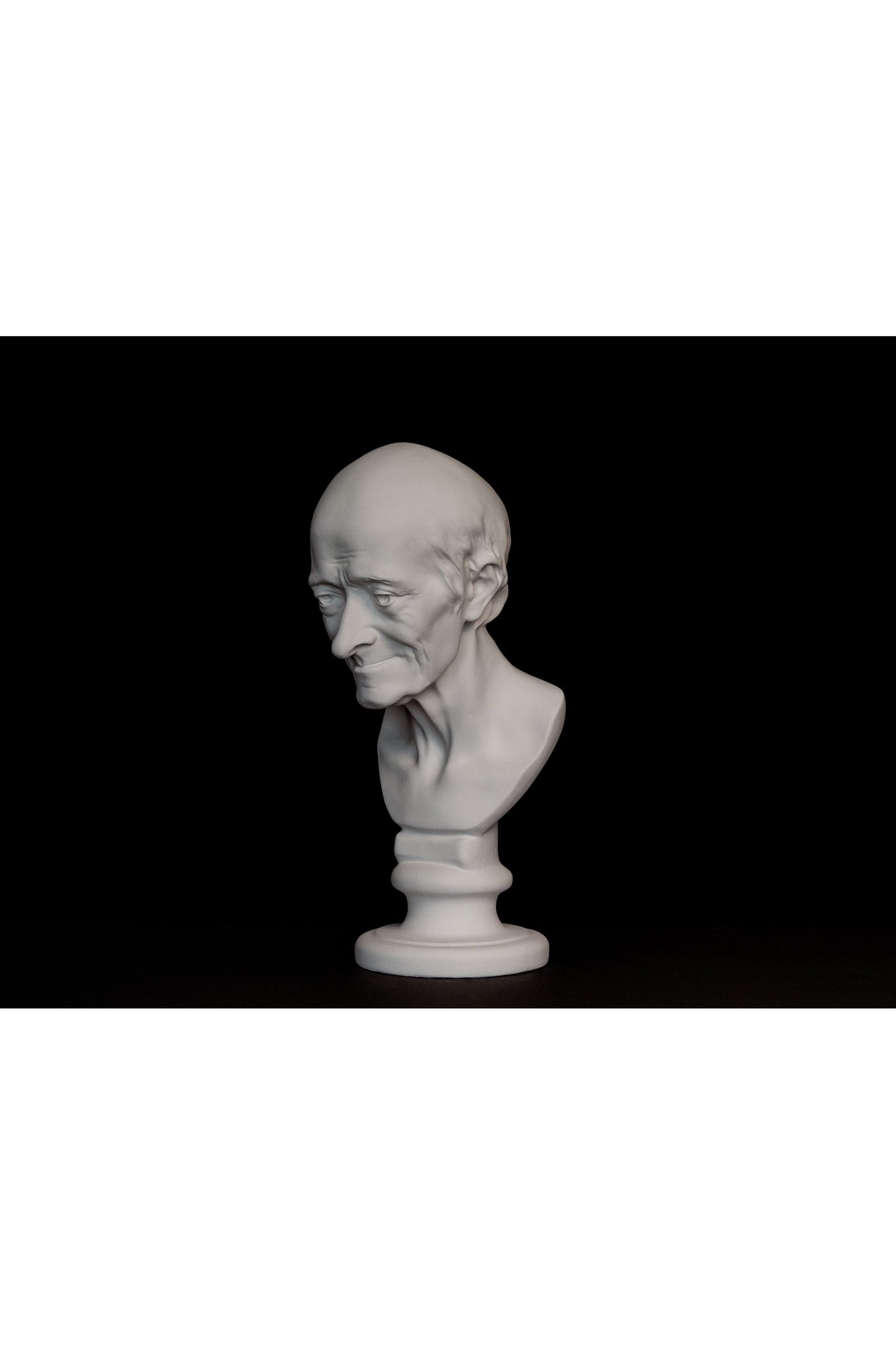 Bust Voltaire