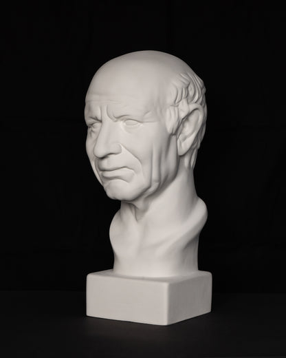 Cap de politician roman