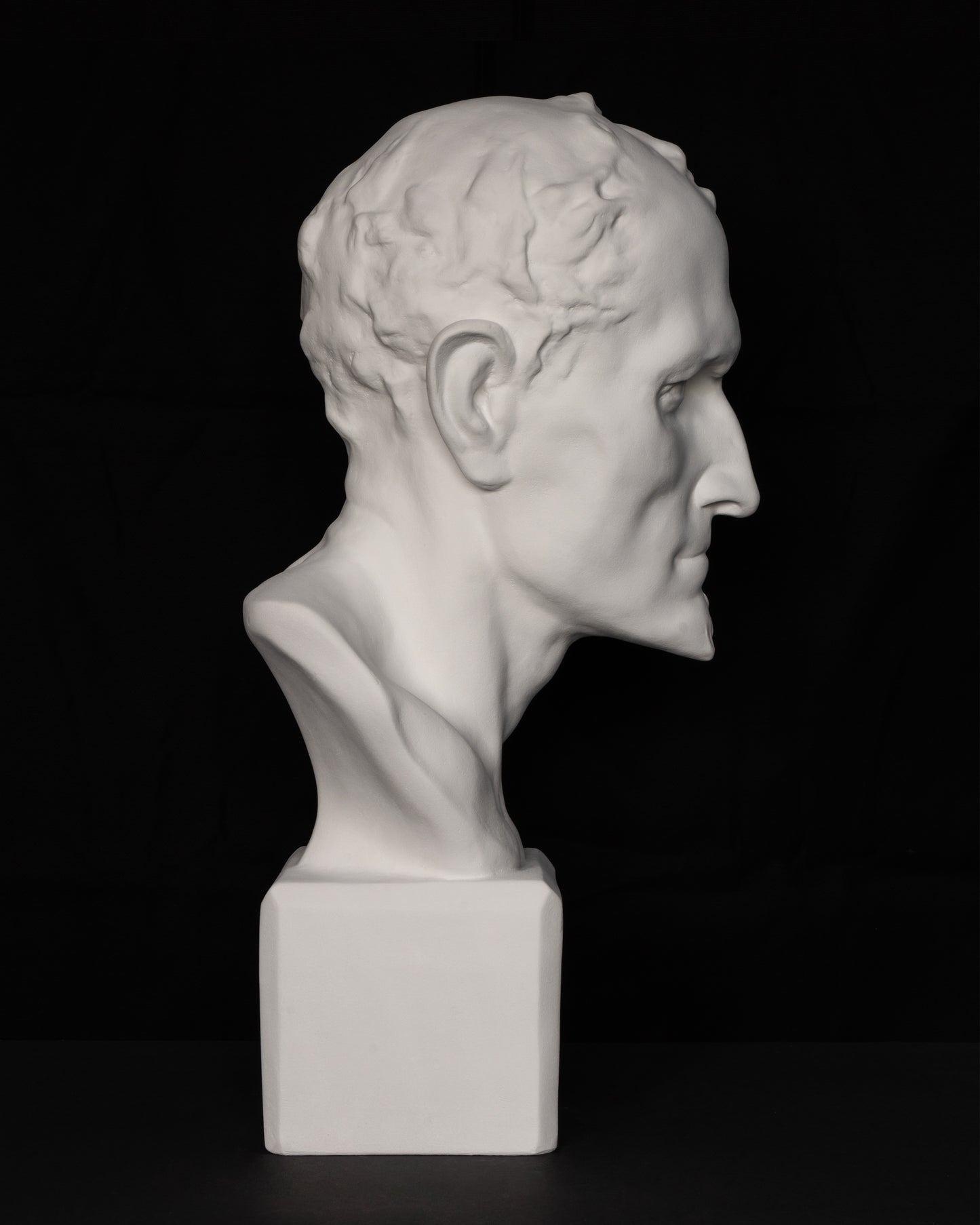 Bust Mefistofel