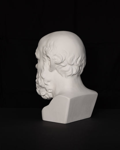 Bust Socrate