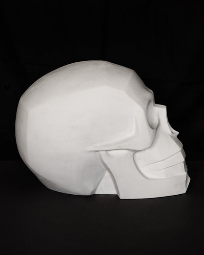 Craniu geometizat supradimensionat