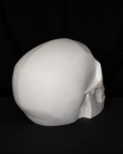 Craniu geometizat supradimensionat