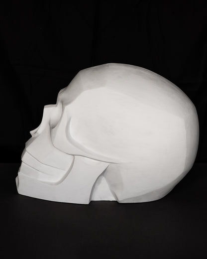 Craniu geometizat supradimensionat
