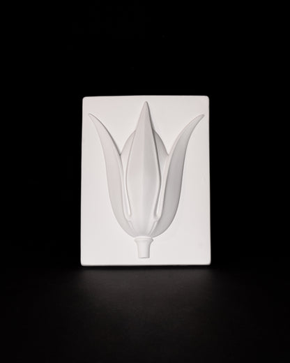 Motiv floral - lalea