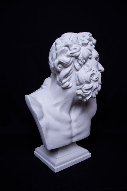Bust Laocoon