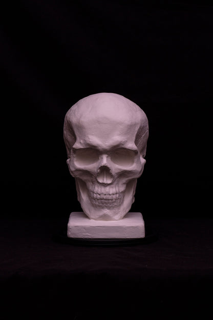 Craniu II (cu postament)