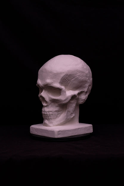 Craniu II (cu postament)