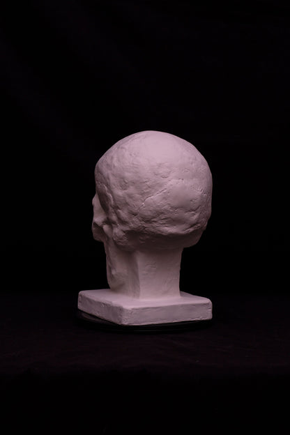 Craniu II (cu postament)