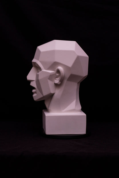Cap geometrizat "Houdon"