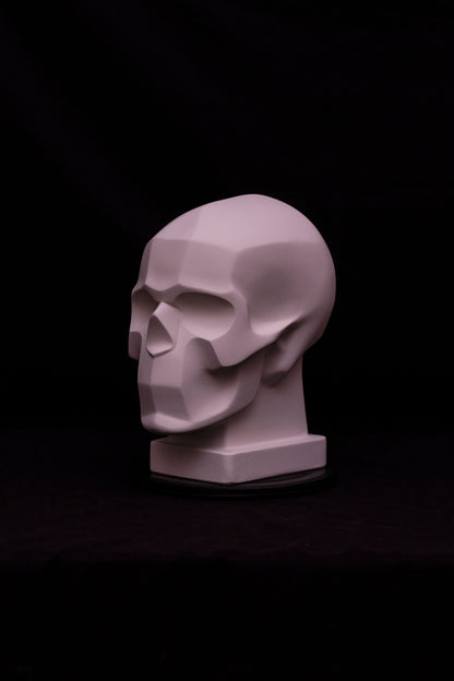 Craniu geometrizat "Bammes"