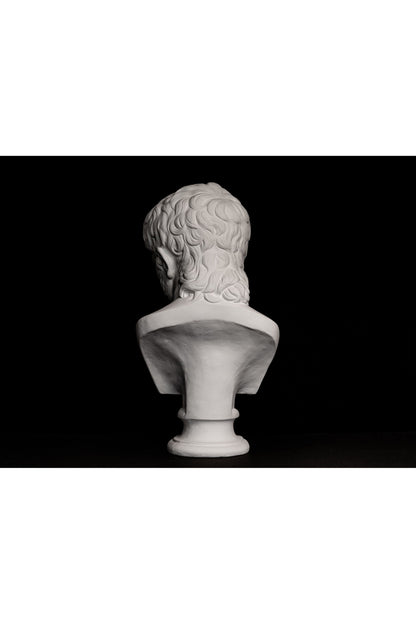 Bust Nero