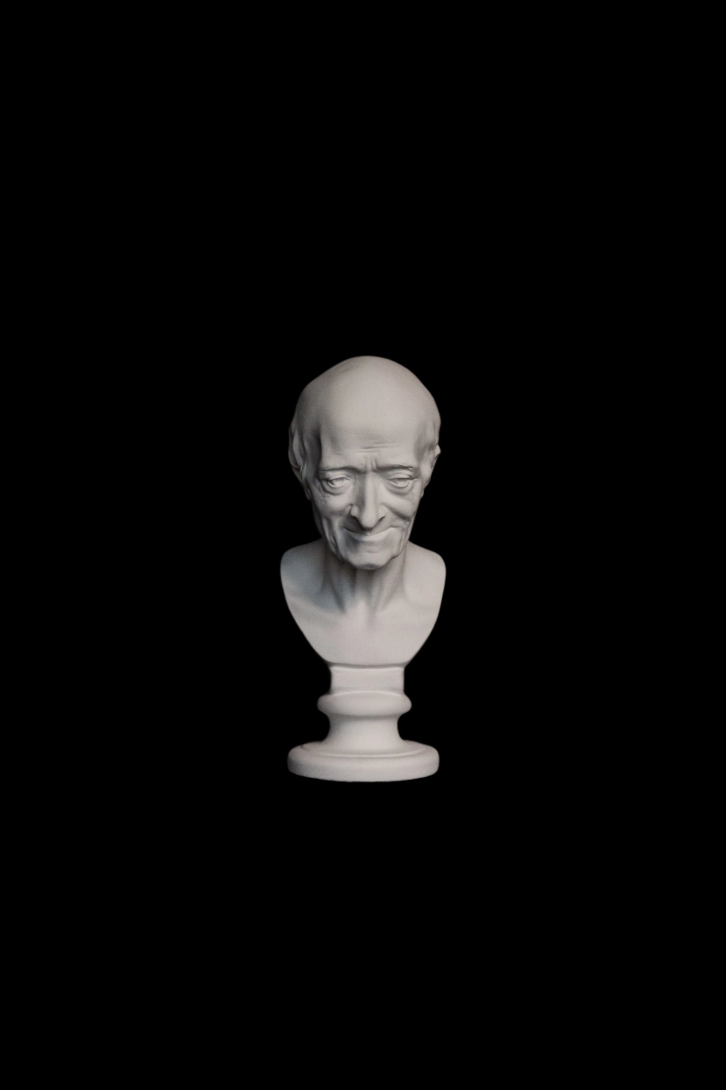 Bust Voltaire