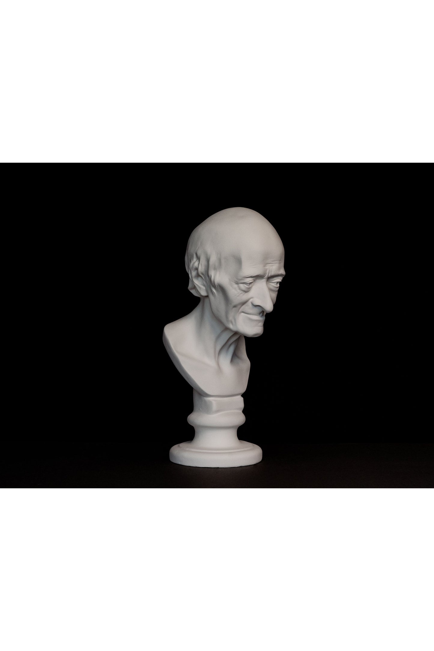 Bust Voltaire