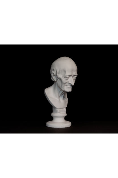 Bust Voltaire