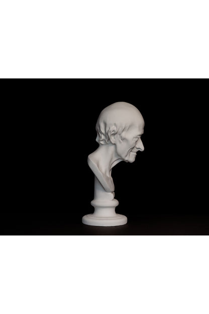 Bust Voltaire