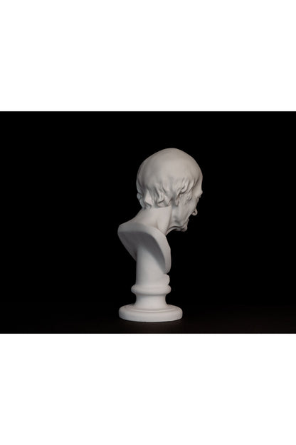 Bust Voltaire