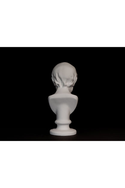 Bust Voltaire