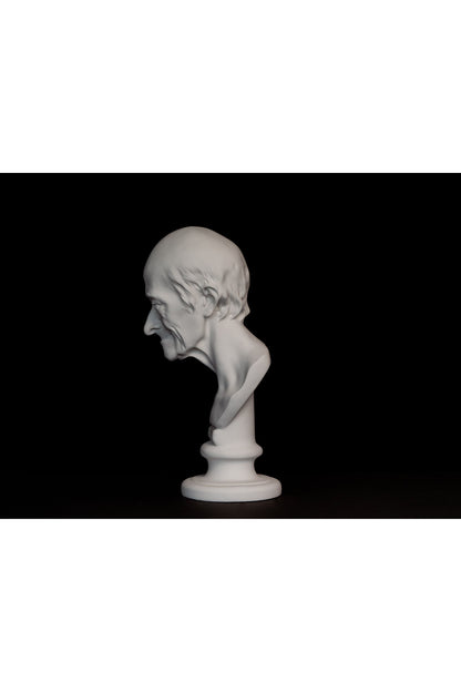 Bust Voltaire