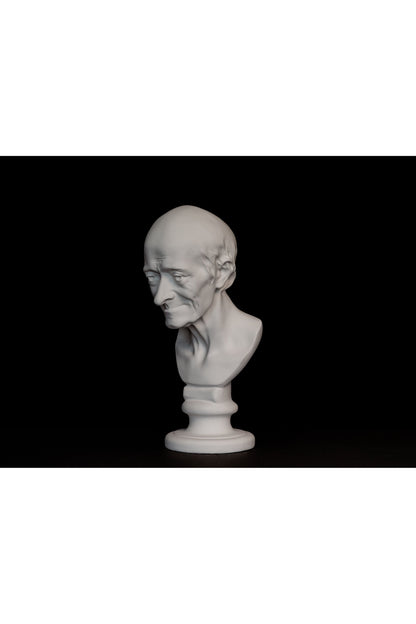 Bust Voltaire