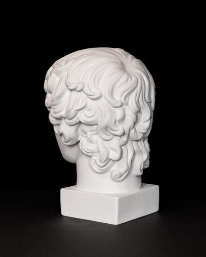 Cap Antinous